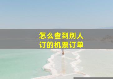 怎么查到别人订的机票订单