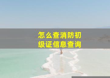 怎么查消防初级证信息查询