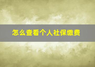 怎么查看个人社保缴费