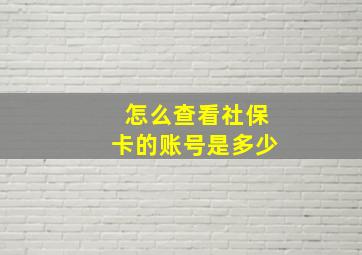 怎么查看社保卡的账号是多少