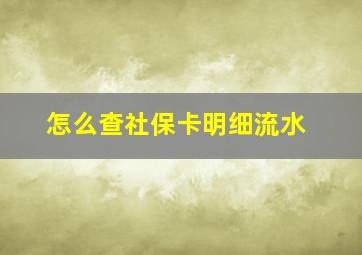 怎么查社保卡明细流水