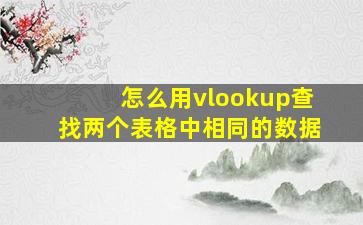 怎么用vlookup查找两个表格中相同的数据