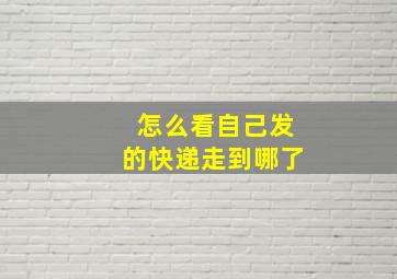 怎么看自己发的快递走到哪了