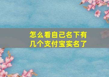 怎么看自己名下有几个支付宝实名了