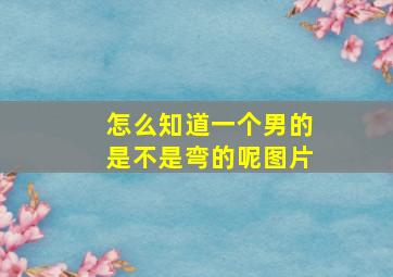 怎么知道一个男的是不是弯的呢图片