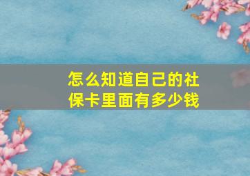 怎么知道自己的社保卡里面有多少钱