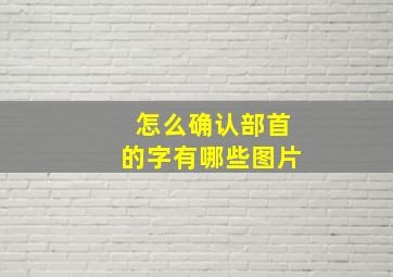 怎么确认部首的字有哪些图片