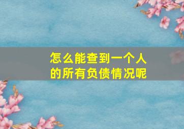 怎么能查到一个人的所有负债情况呢