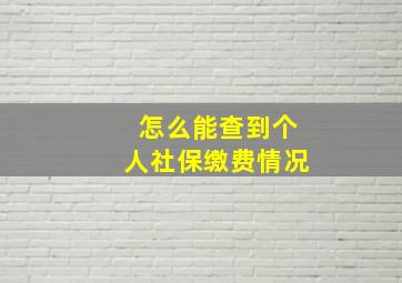 怎么能查到个人社保缴费情况