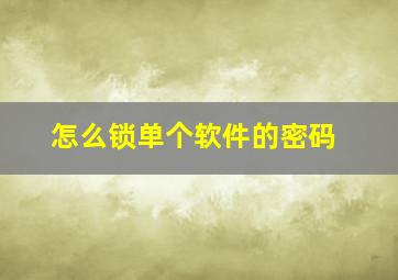 怎么锁单个软件的密码