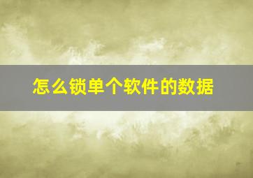 怎么锁单个软件的数据