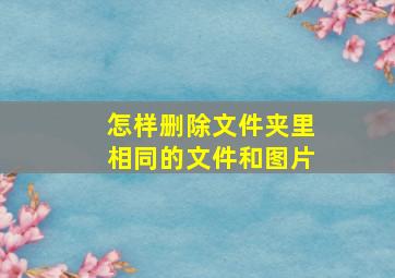 怎样删除文件夹里相同的文件和图片