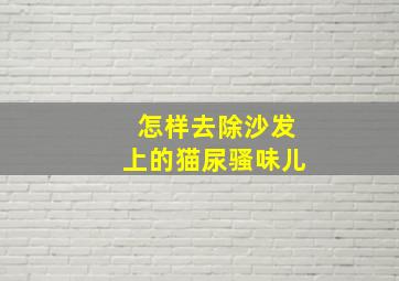 怎样去除沙发上的猫尿骚味儿