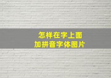 怎样在字上面加拼音字体图片