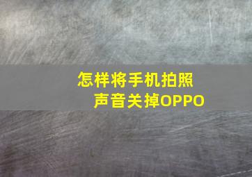 怎样将手机拍照声音关掉OPPO