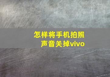 怎样将手机拍照声音关掉vivo