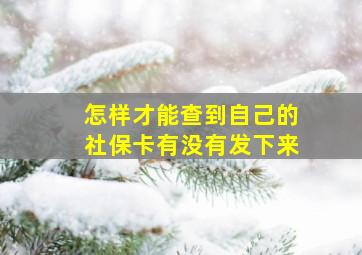 怎样才能查到自己的社保卡有没有发下来