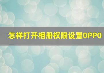 怎样打开相册权限设置0PP0