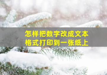 怎样把数字改成文本格式打印到一张纸上