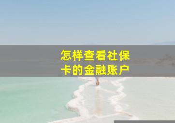 怎样查看社保卡的金融账户