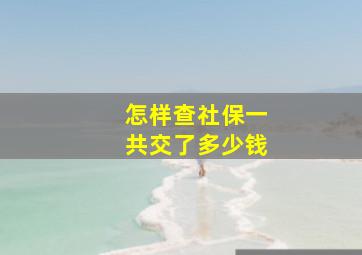 怎样查社保一共交了多少钱