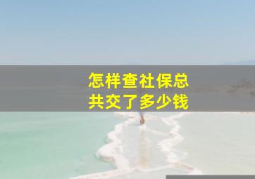 怎样查社保总共交了多少钱