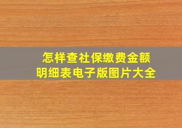 怎样查社保缴费金额明细表电子版图片大全