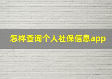 怎样查询个人社保信息app