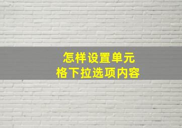 怎样设置单元格下拉选项内容