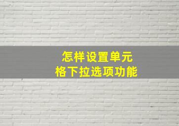 怎样设置单元格下拉选项功能