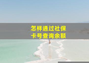 怎样通过社保卡号查询余额