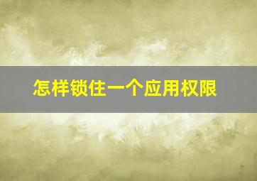 怎样锁住一个应用权限