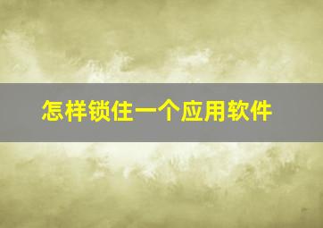 怎样锁住一个应用软件