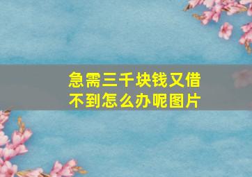 急需三千块钱又借不到怎么办呢图片