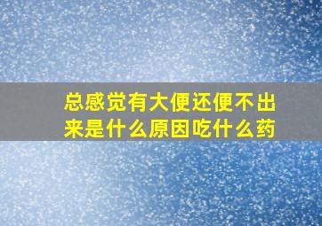 总感觉有大便还便不出来是什么原因吃什么药