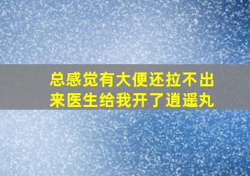 总感觉有大便还拉不出来医生给我开了逍遥丸