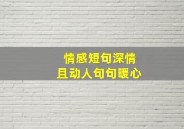 情感短句深情且动人句句暖心