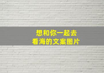 想和你一起去看海的文案图片