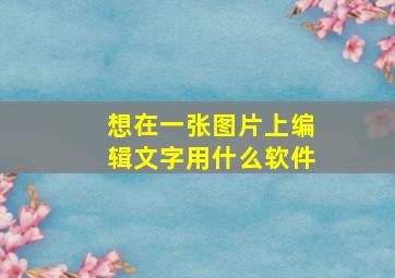 想在一张图片上编辑文字用什么软件