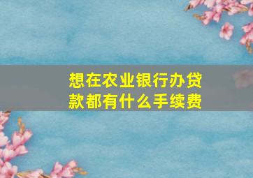 想在农业银行办贷款都有什么手续费