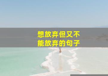 想放弃但又不能放弃的句子