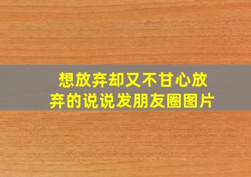 想放弃却又不甘心放弃的说说发朋友圈图片