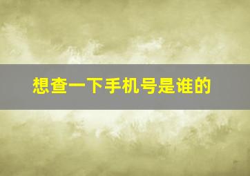 想查一下手机号是谁的