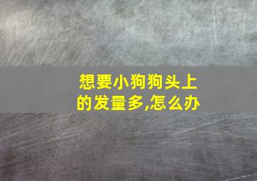 想要小狗狗头上的发量多,怎么办