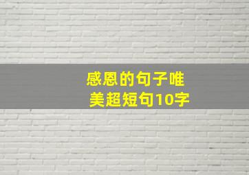 感恩的句子唯美超短句10字