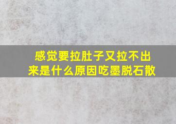 感觉要拉肚子又拉不出来是什么原因吃墨脱石散