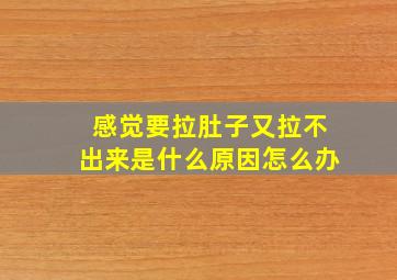 感觉要拉肚子又拉不出来是什么原因怎么办