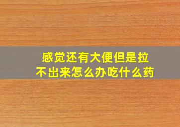 感觉还有大便但是拉不出来怎么办吃什么药