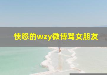 愤怒的wzy微博骂女朋友