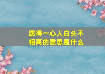 愿得一心人白头不相离的意思是什么